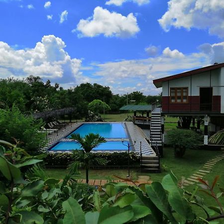 Eco Hotel Black & White - Anuradhapura Mihintale Eksteriør billede