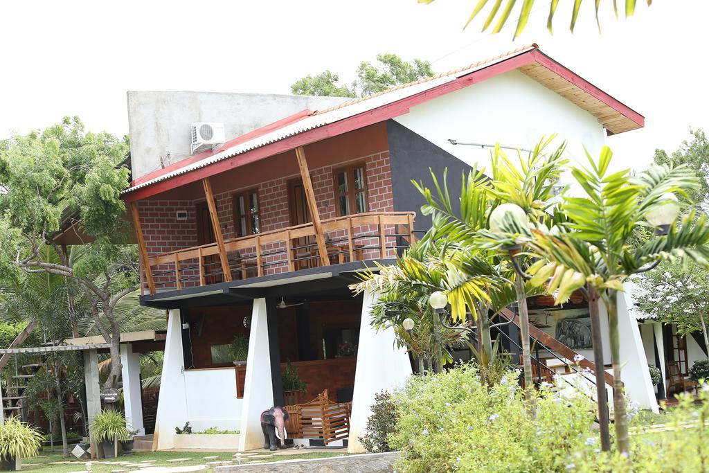Eco Hotel Black & White - Anuradhapura Mihintale Eksteriør billede