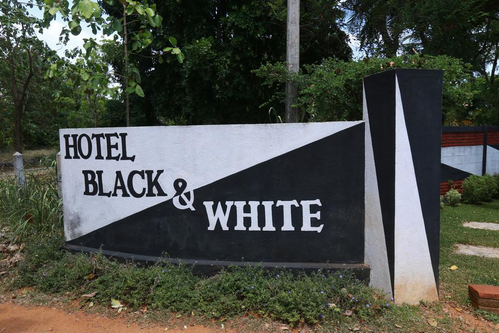 Eco Hotel Black & White - Anuradhapura Mihintale Eksteriør billede