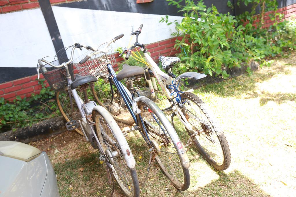 Eco Hotel Black & White - Anuradhapura Mihintale Eksteriør billede