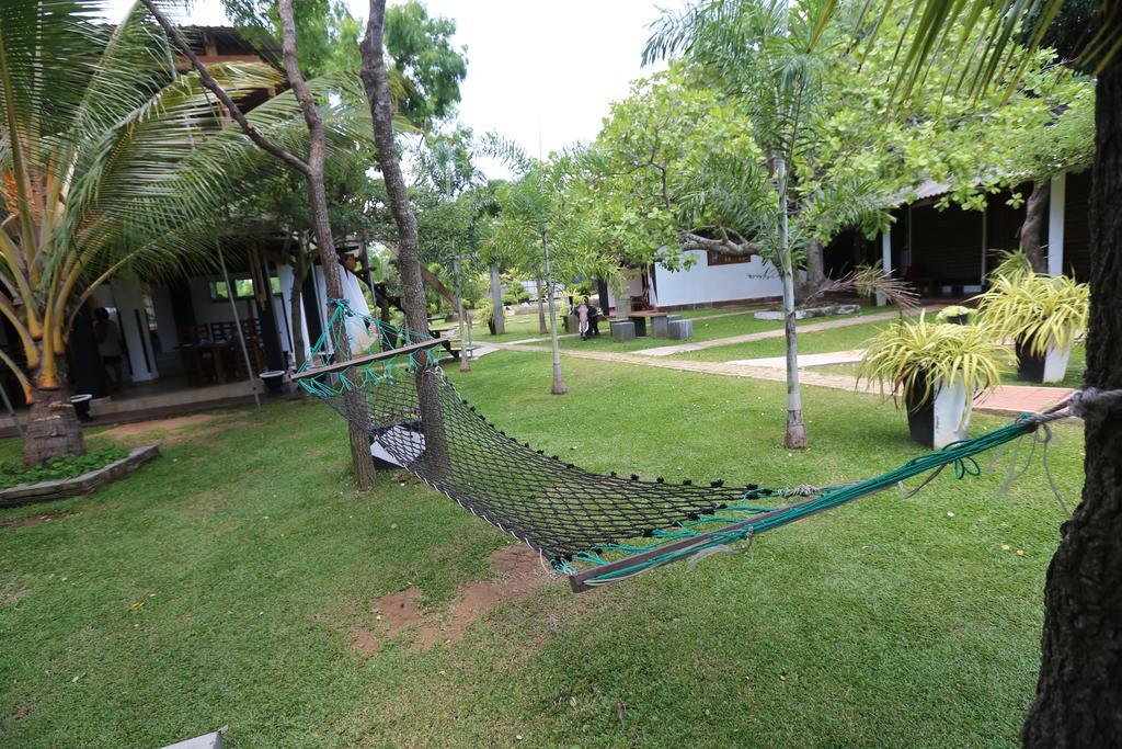 Eco Hotel Black & White - Anuradhapura Mihintale Eksteriør billede