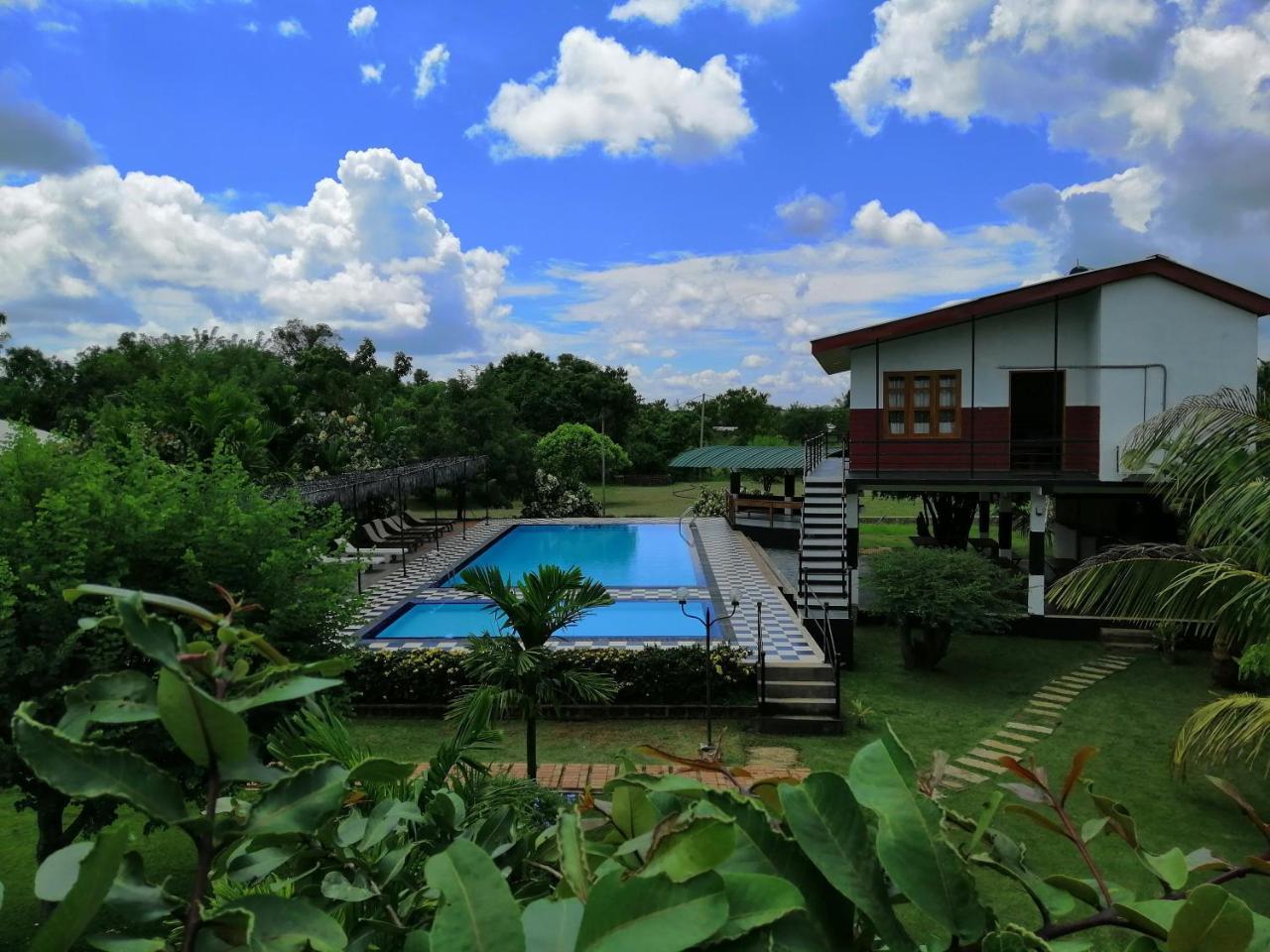 Eco Hotel Black & White - Anuradhapura Mihintale Eksteriør billede