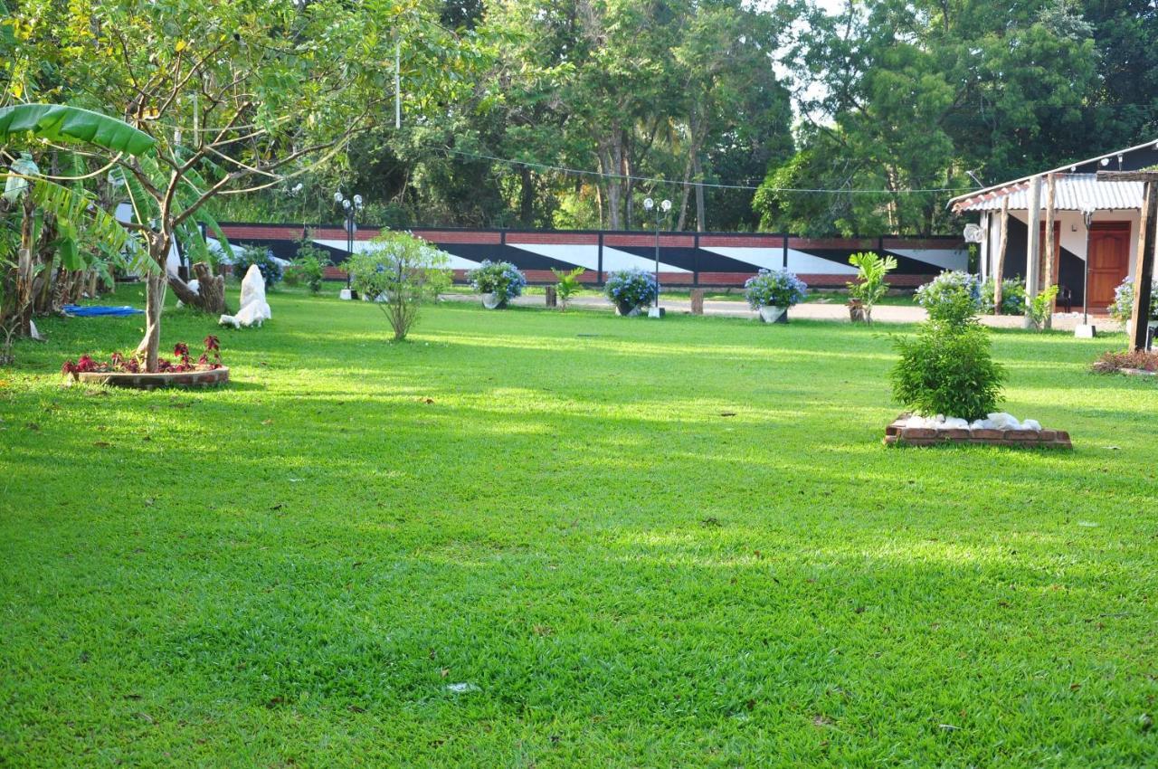 Eco Hotel Black & White - Anuradhapura Mihintale Eksteriør billede